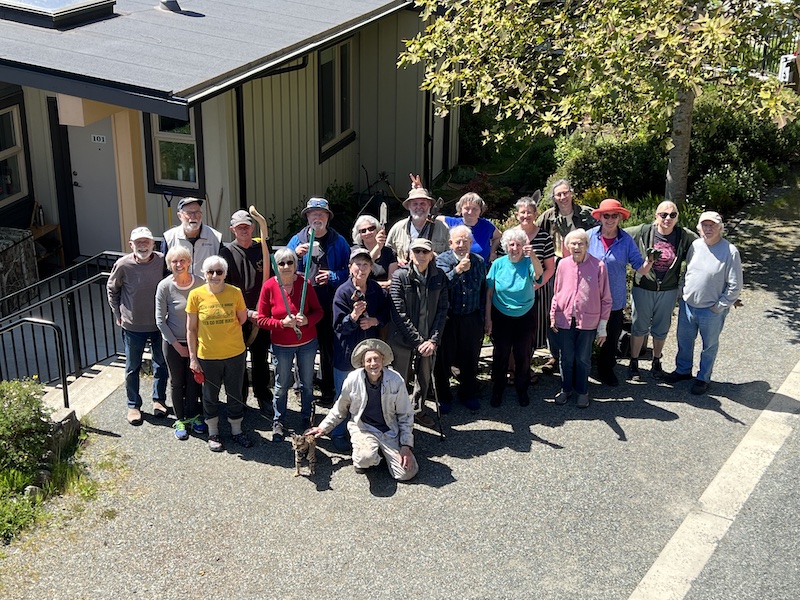 Harbourside community work bee May 2022