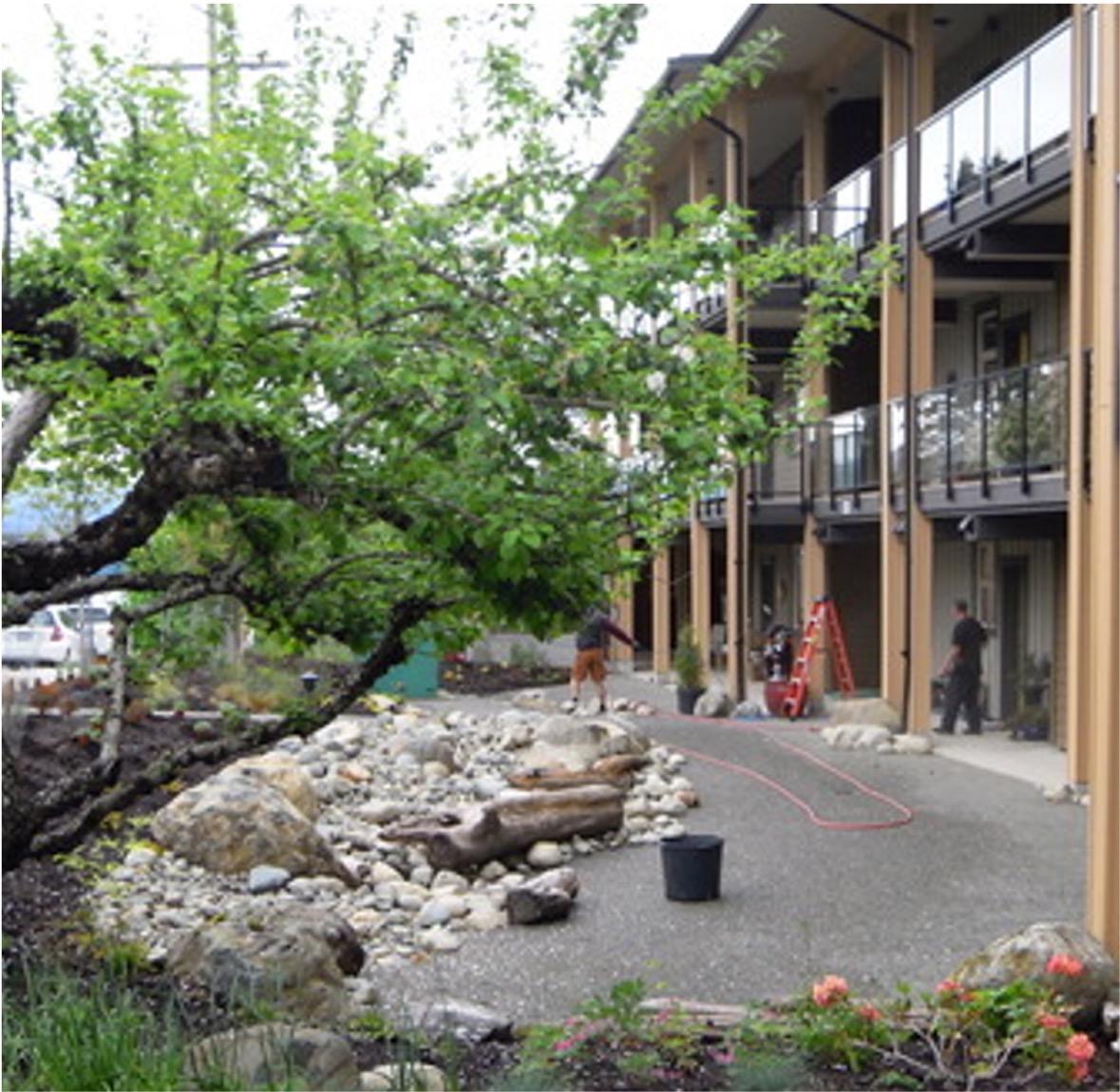 Harbourside Horne Rd garden 2021