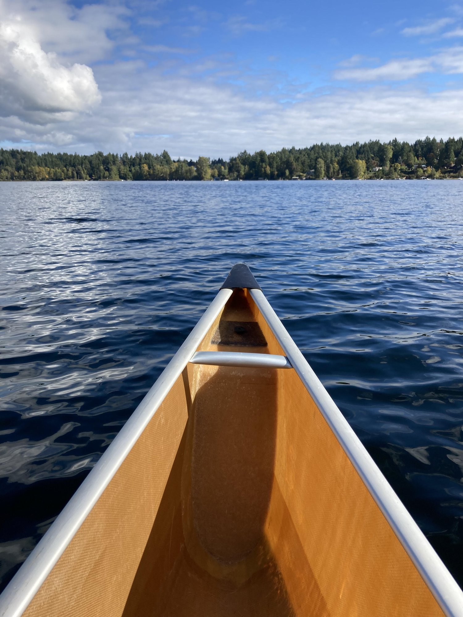 Sooke Harbour from Harbourside canoe
