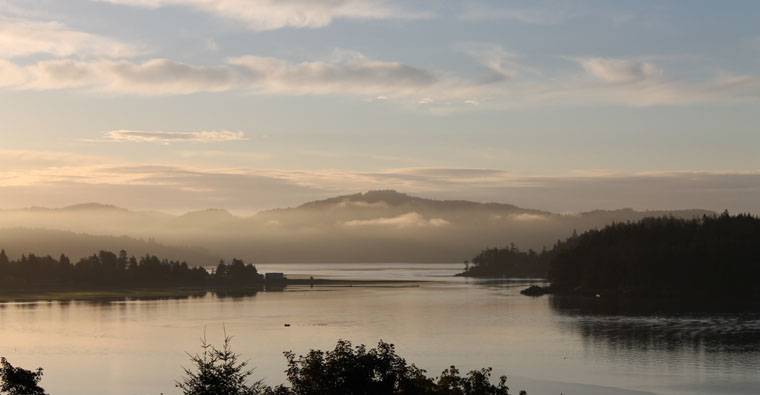 Dawn from Harbourside